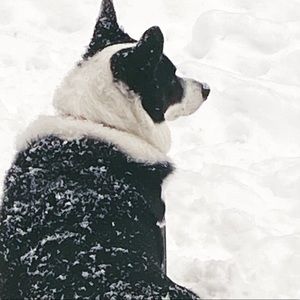 Meet your Posher, Wendy